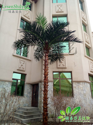 仿真棕櫚樹(shù)