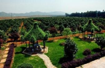 華輝實業 園林綠化 庭院綠化 綠植租擺