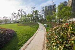 看慣了北方的生態(tài)粗線條 來感受下江南精品園林的畫風