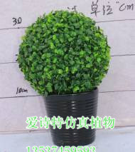 仿真樹批發 中高端仿真米蘭樹 生態園林裝飾 綠化工程 - 仿真樹批發 中高端仿真米蘭樹 生態園林裝飾 綠化工程廠家 - 仿真樹批發 中高端仿真米蘭樹 生態園林裝飾 綠化工程價格 - 東莞市愛詩特實業 - 