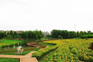 免費(fèi)的午餐沒有,但是這里有免費(fèi)又美麗的景致