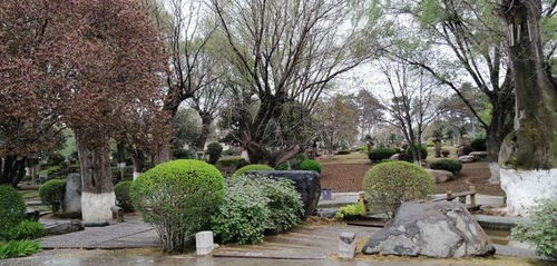 獨(dú)具南北園林特色兩千畝精品公園西安中園唐苑免費(fèi)開放