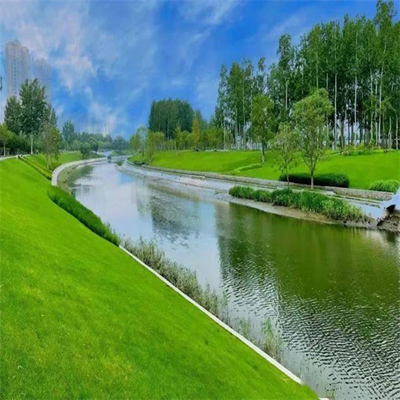 云南迪慶常青草種草籽專賣店 邊坡綠化與園林實業的專業選擇