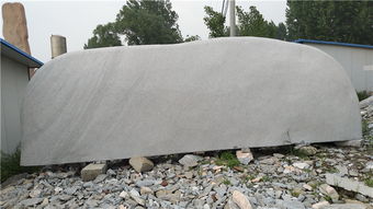 園林實業 實惠景觀石的理想采購地