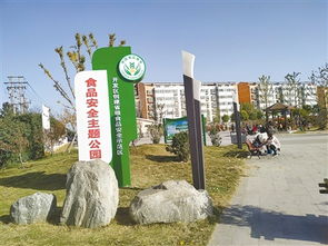 我市首個(gè)食品安全主題公園開(kāi)放，居民可邊健身邊學(xué)習(xí)知識(shí)