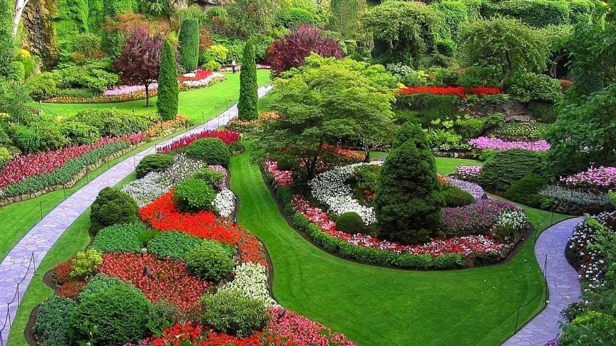 園林綠化與病蟲(chóng)害防治的問(wèn)題和對(duì)策——以廣東田野風(fēng)實(shí)業(yè)為例