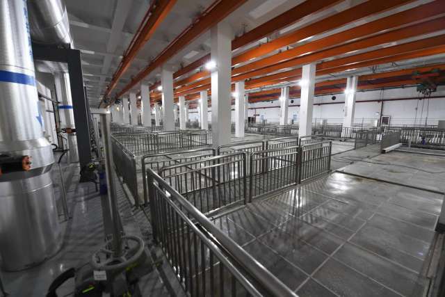 綠茵之下，匠心筑夢 一座公園的園林實業密碼